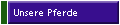 Unsere Pferde